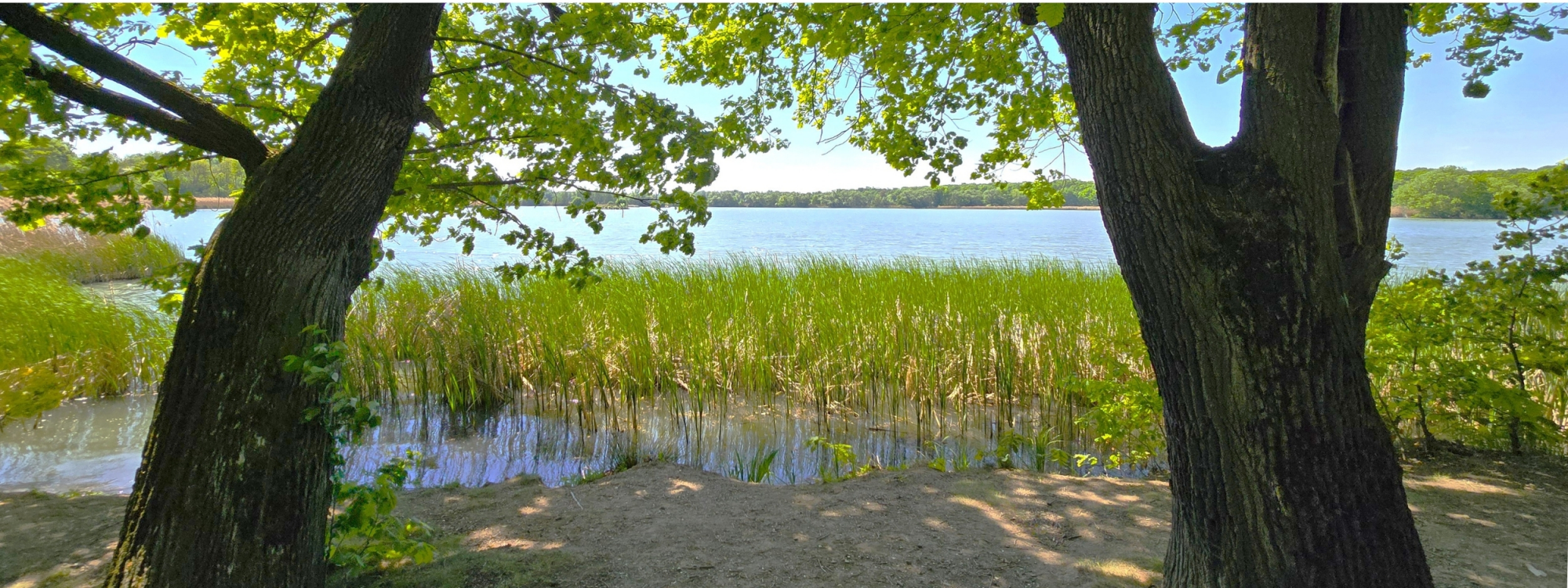 Park Krajobrazowy Cysterskie Kompozycje Krajobrazowe Rud Wielkich